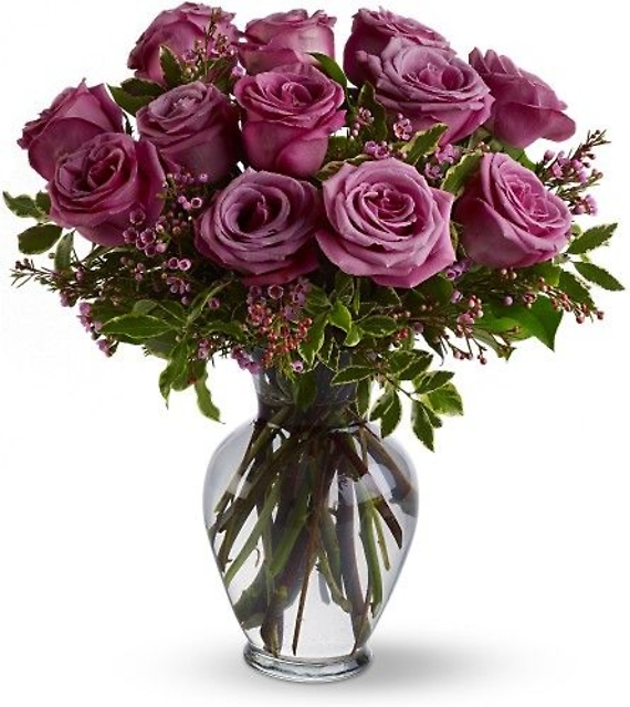 Lavender Roses