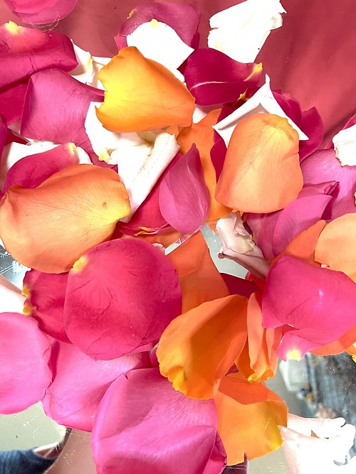Mixed Color Rose Petals