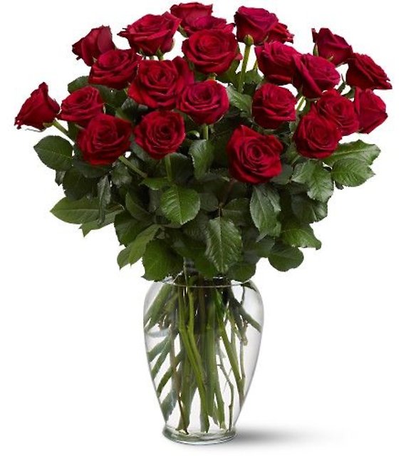 Two Dozen Roses Arranged <br>TF31-2