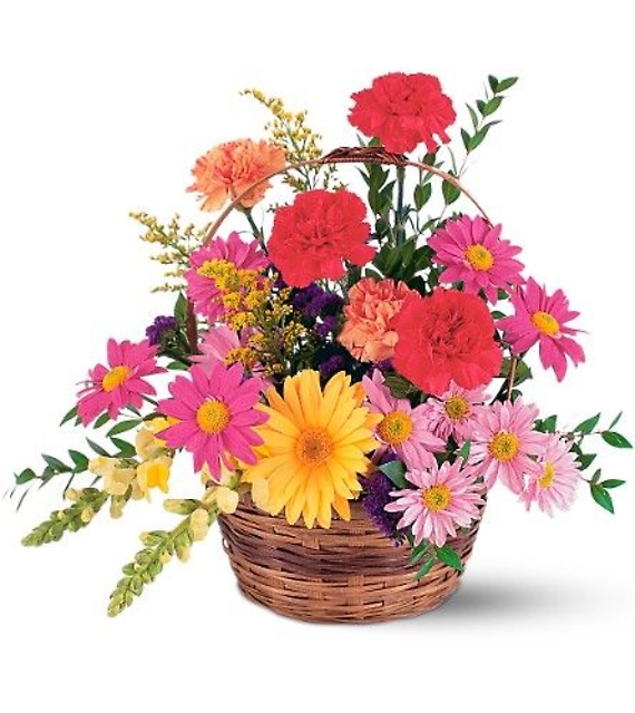 Vibrant Basket Arrangement<br>TF217-2