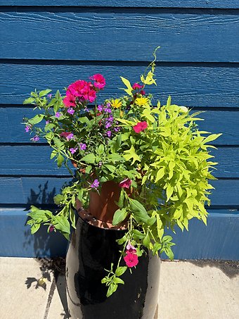 Patio Planters