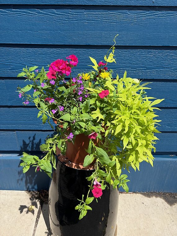 Patio Planters