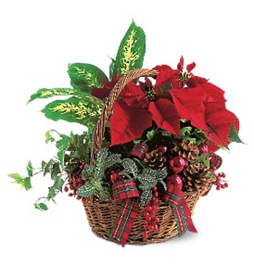 Holiday Planter Basket (Will not be EXACT)