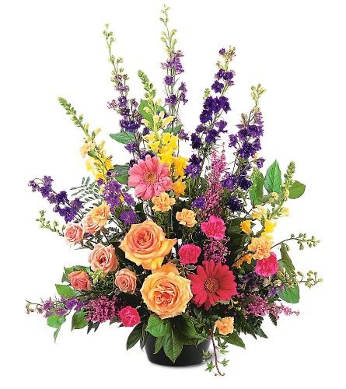 Most Memorable Tribute<br>TF183-1
