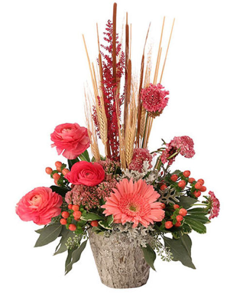Coral Comforts