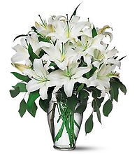 Perfect White Lilies<br>TF24-1
