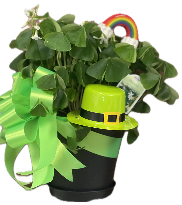 Shamrock