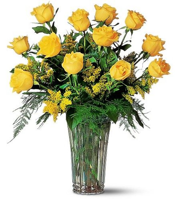 Yellow Roses
