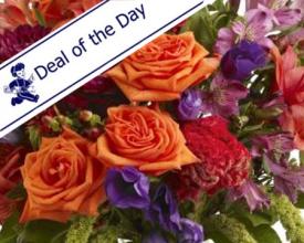 Bonnie Braes\' Deal of the Day