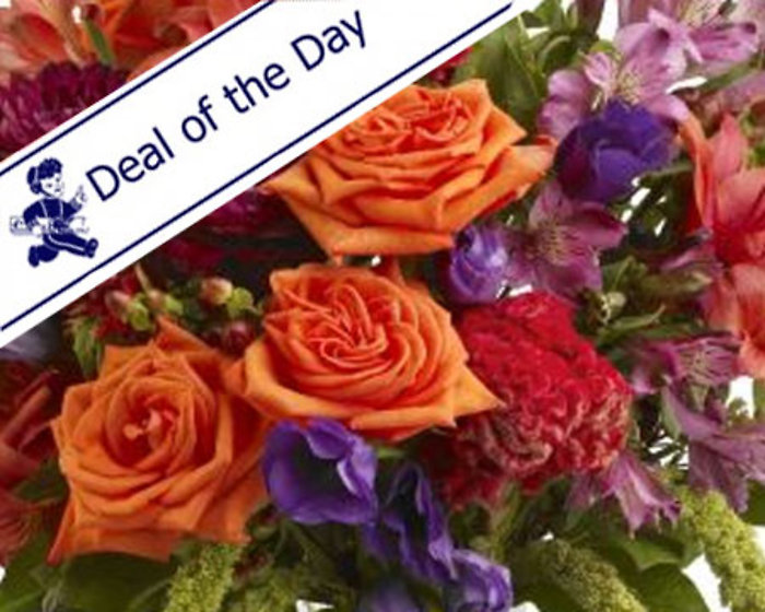 Medium Deal of the Day (not pictured)