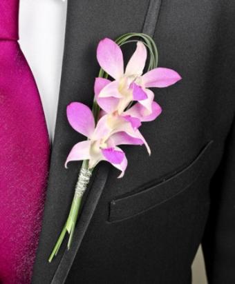 Chic Pink Orchid