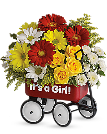 Baby\'s Wow Wagon <br>T97N400A