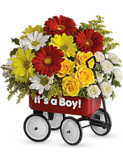 Baby\'s Wow Wagon - Boy<br> T35-1A