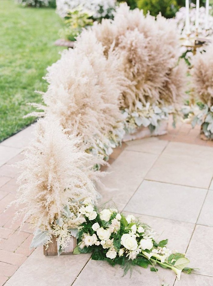 Pampas Grass