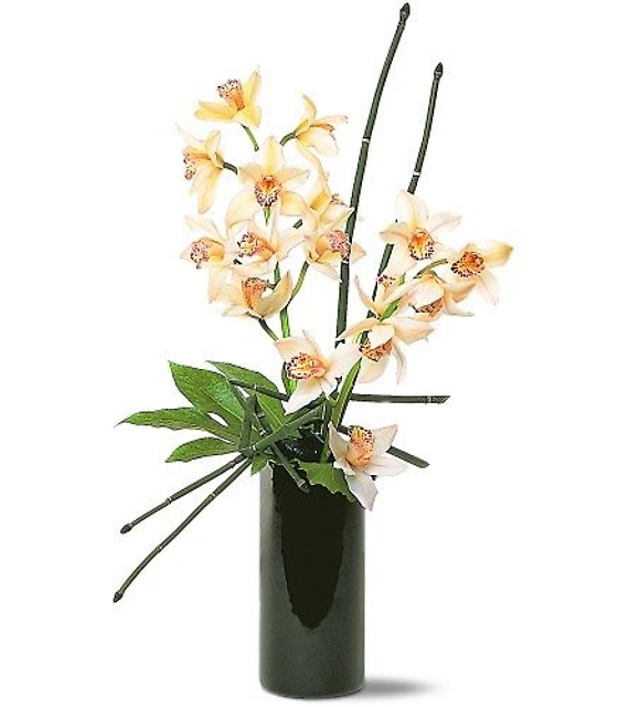 Modern Cymbidium Arrangement