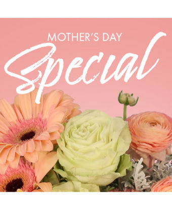 Mother\'s Day Special