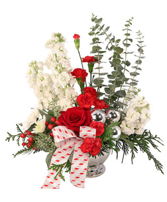 Candy Cane Carnations