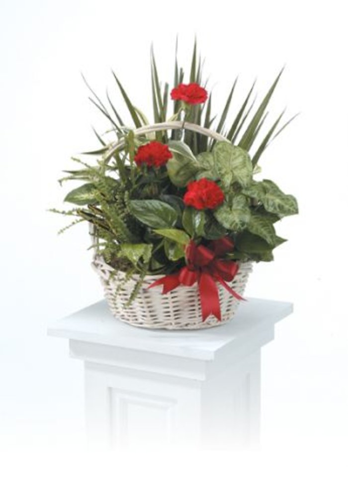 Basket Garden with Fresh Flowers