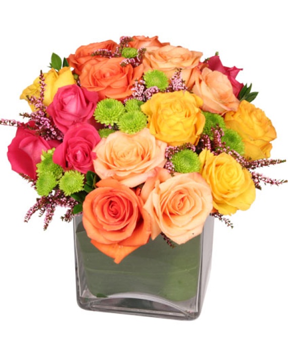 Energetic Roses