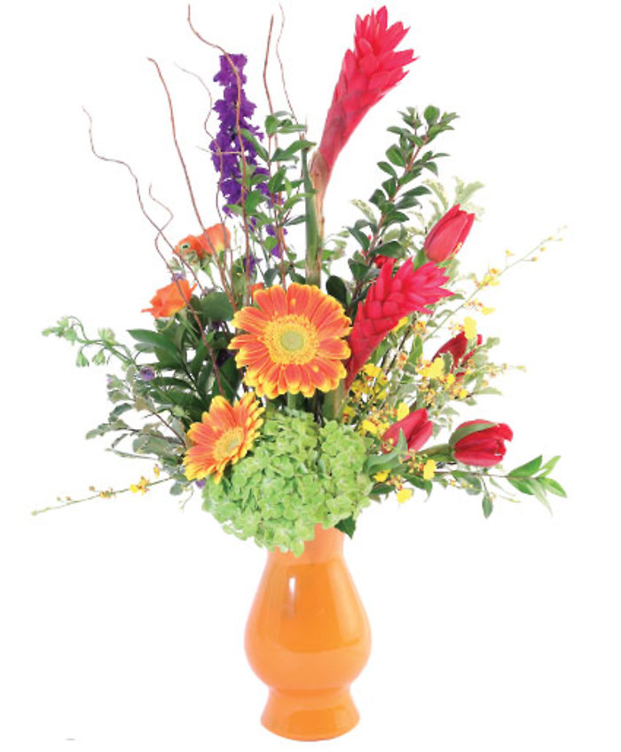 Ginger\'s Orchid Dream